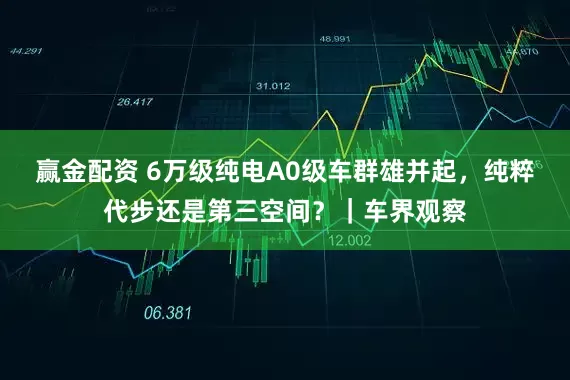 赢金配资 6万级纯电A0级车群雄并起，纯粹代步还是第三空间？｜车界观察