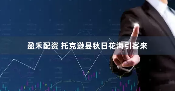 盈禾配资 托克逊县秋日花海引客来